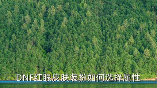 dnf护腿装扮选什么属性，dnf中龙骑士装扮属性怎么选