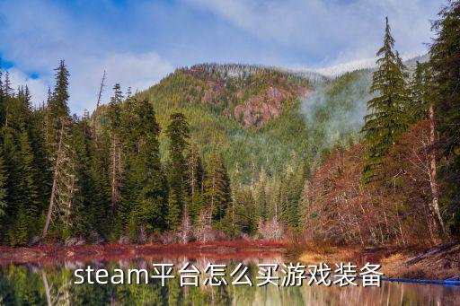 steam平台怎么买游戏装备