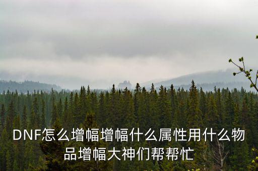 DNF怎么增幅增幅什么属性用什么物品增幅大神们帮帮忙