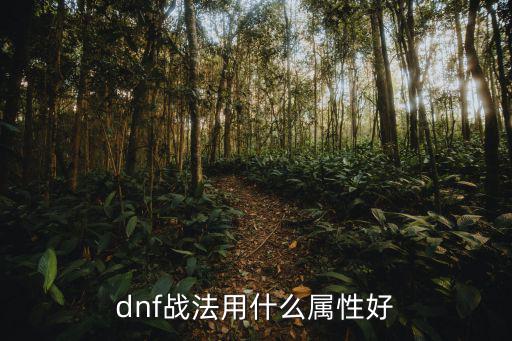 dnf战法徽章打什么属性，DNF战法堆什么属性