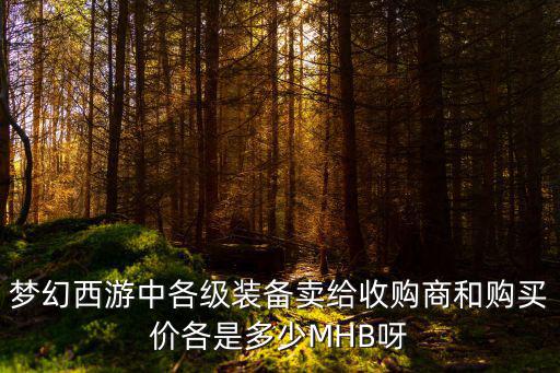 梦幻西游中各级装备卖给收购商和购买价各是多少MHB呀