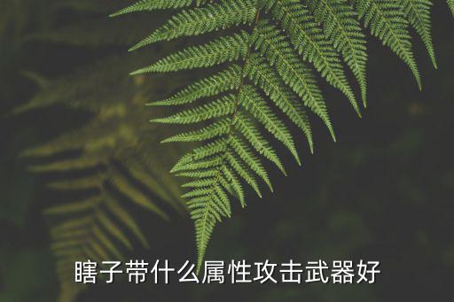 瞎子带什么属性攻击武器好