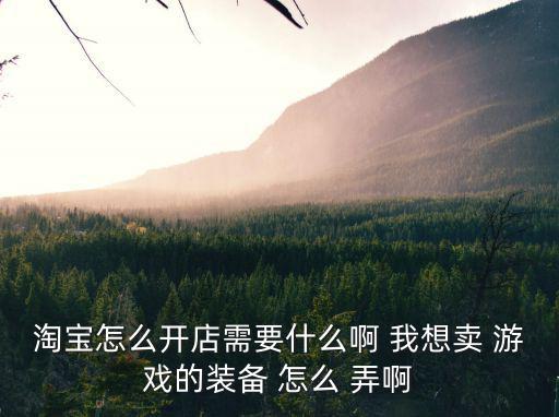 淘宝怎么开店需要什么啊 我想卖 游戏的装备 怎么 弄啊