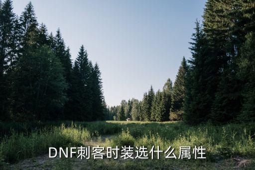 dnf刺客皮肤属性选什么，DNF刺客装扮选什么属性的好