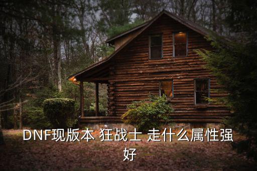 DNF现版本 狂战士 走什么属性强 好