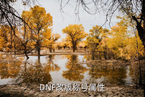 DNF改版称号属性