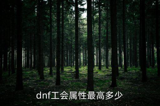 dnf工会属性最高多少