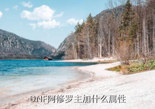 DNF阿修罗主加什么属性