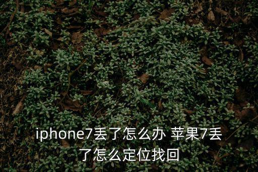 iphone7丢了怎么办 苹果7丢了怎么定位找回