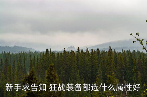 新手求告知 狂战装备都选什么属性好