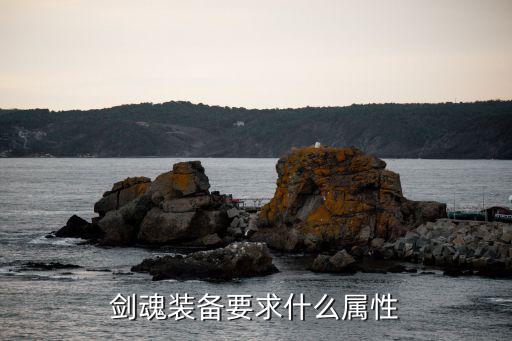 dnf剑神适合什么属性，地下城剑圣加什么属性