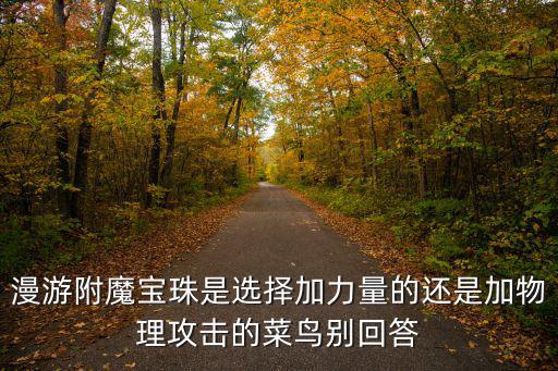 漫游附魔宝珠是选择加力量的还是加物理攻击的菜鸟别回答