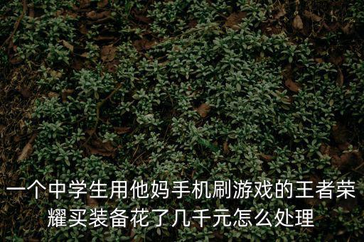 一个中学生用他妈手机刷游戏的王者荣耀买装备花了几千元怎么处理