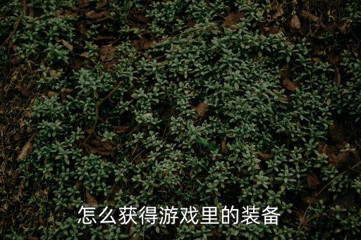 暗黑神殿2游戏装备怎么获得，游戏装备怎么弄