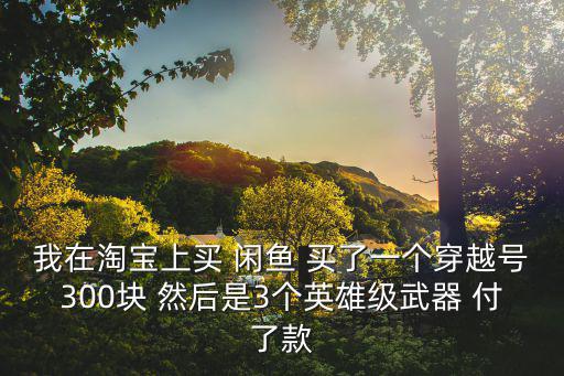 我在淘宝上买 闲鱼 买了一个穿越号300块 然后是3个英雄级武器 付了款
