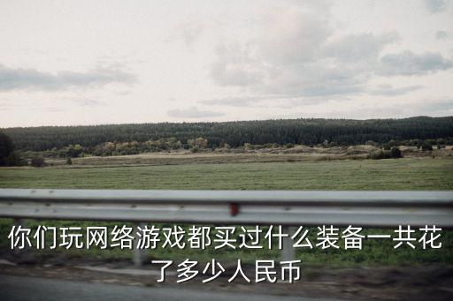你们玩网络游戏都买过什么装备一共花了多少人民币