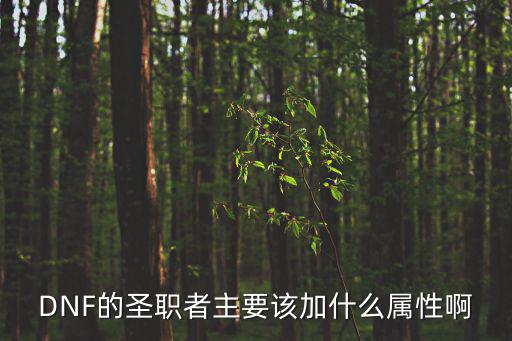 DNF的圣职者主要该加什么属性啊