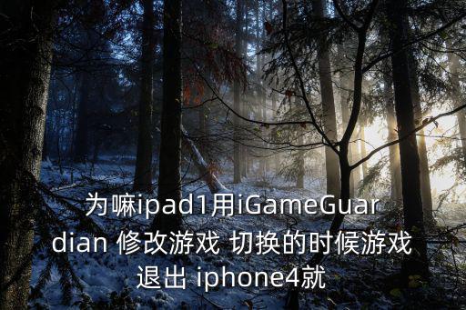 为嘛ipad1用iGameGuardian 修改游戏 切换的时候游戏退出 iphone4就