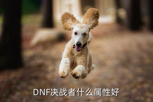 DNF决战者什么属性好