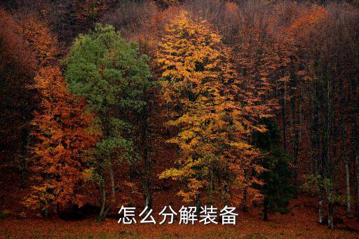 怎么分解装备