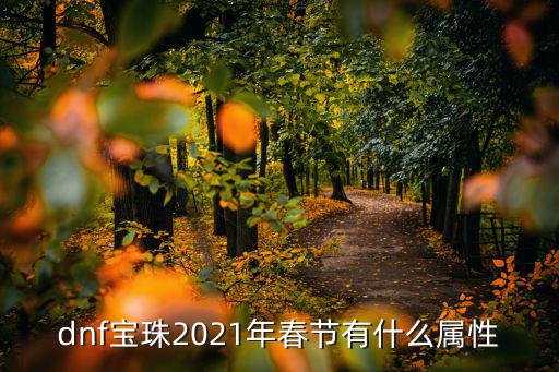 dnf宝珠2021年春节有什么属性