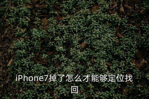 苹果7玩游戏装备丢了怎么找回，iPhone7掉了怎么才能够定位找回