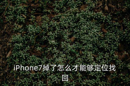 苹果7玩游戏装备丢了怎么找回，iPhone7掉了怎么才能够定位找回