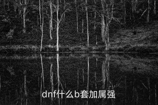 dnf什么b套加属强