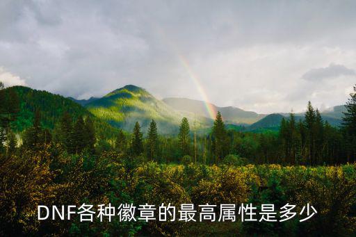 DNF各种徽章的最高属性是多少