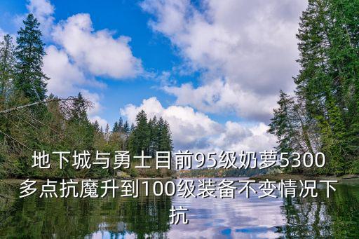 dnf奶萝弄什么属性，地下城与勇士目前95级奶萝5300多点抗魔升到100级装备不变情况下抗