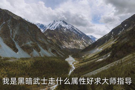 我是黑暗武士走什么属性好求大师指导