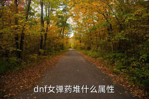 dnf女弹药吃什么属性，dnf女弹药堆什么属性