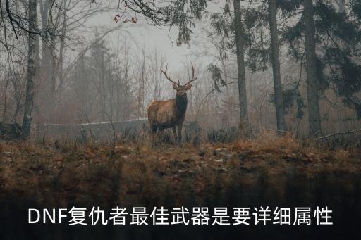 DNF复仇者最佳武器是要详细属性