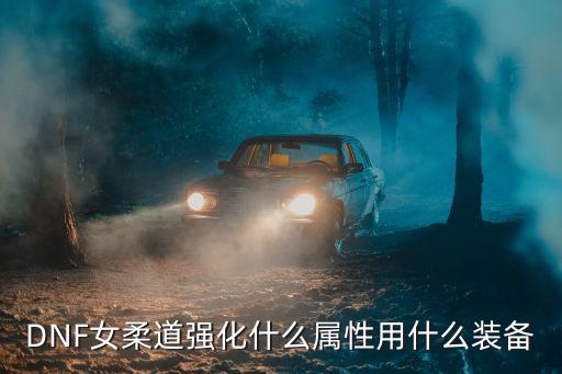 dnf女柔道要什么属性，DNF女柔道穿时装加什么属性
