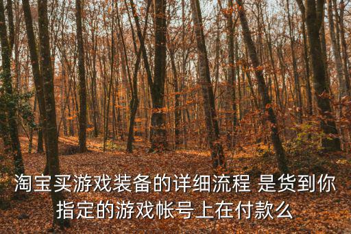 淘宝买游戏装备的详细流程 是货到你指定的游戏帐号上在付款么