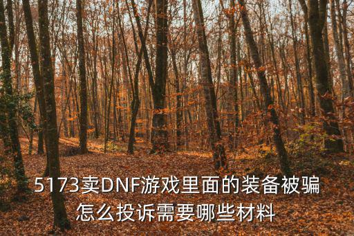 5173卖DNF游戏里面的装备被骗怎么投诉需要哪些材料
