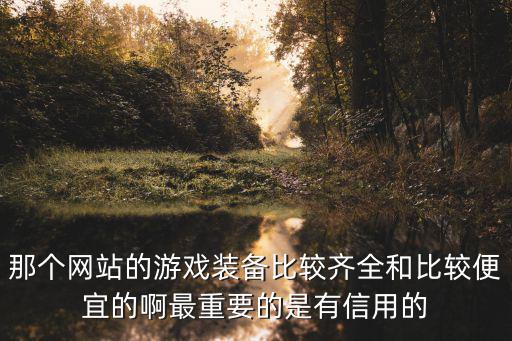 那个网站的游戏装备比较齐全和比较便宜的啊最重要的是有信用的