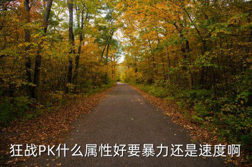 狂战PK什么属性好要暴力还是速度啊