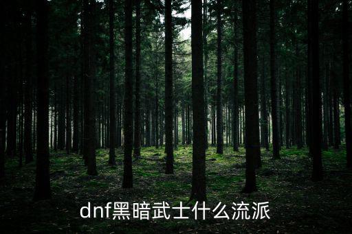 dnf暗属性走什么流派，dnf黑暗武士什么流派