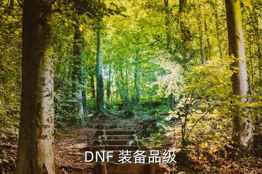 DNF 装备品级