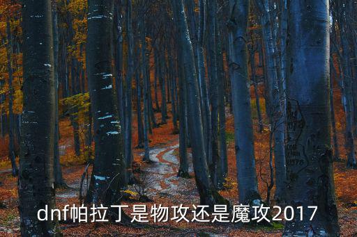 dnf帕拉丁是物攻还是魔攻2017