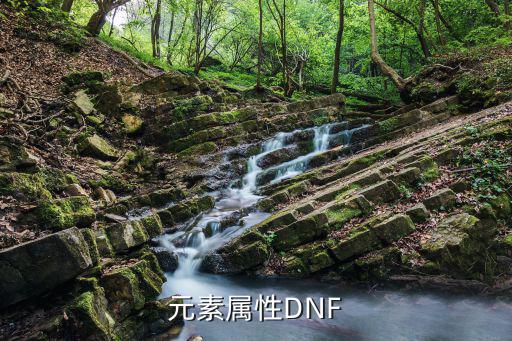 dnf元素是什么属性的，DNF元素师是什么属性的