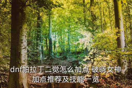 dnf帕拉丁二觉怎么加点 破晓女神加点推荐及技能一览