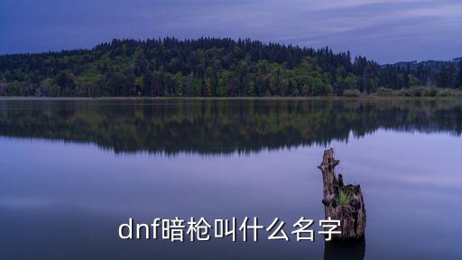 dnf暗枪叫什么名字