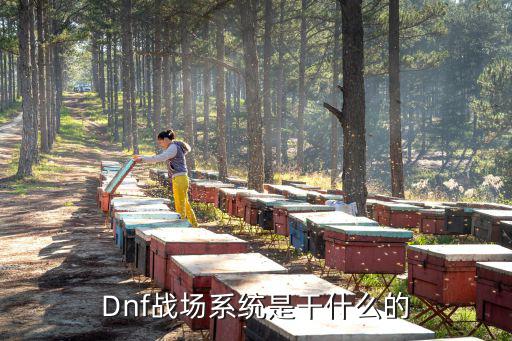 dnf战场王牌什么属性6，dnf火属性强化6卡叫什么