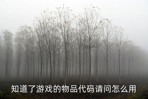 知道了游戏的物品代码请问怎么用