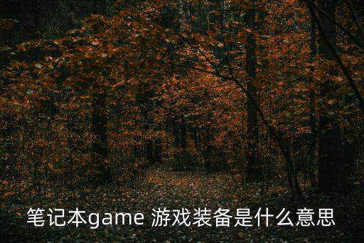 笔记本game 游戏装备是什么意思