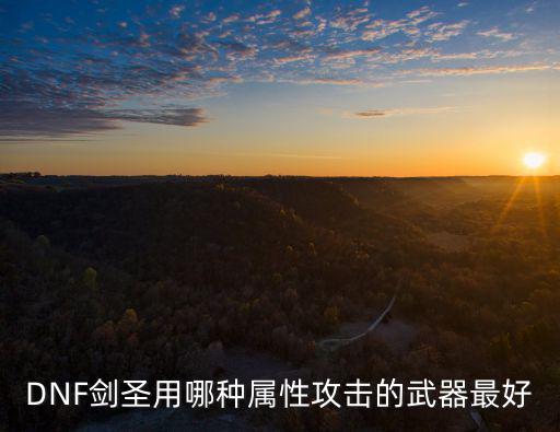 DNF剑圣用哪种属性攻击的武器最好