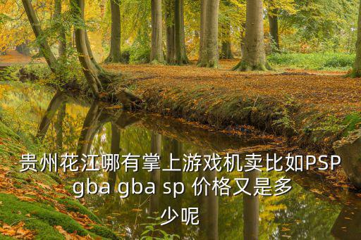 贵州花江哪有掌上游戏机卖比如PSP gba gba sp 价格又是多少呢