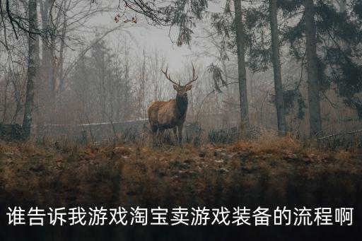 谁告诉我游戏淘宝卖游戏装备的流程啊